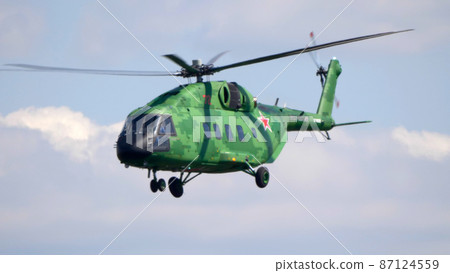 ZHUKOVSKY, RUSSIA - SEPTEMBER 01, 2019 87124559