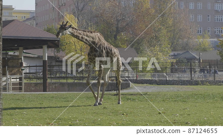 Moscow, Russia - September 21, 2019 Moscow, Russia - September 21, 2019 87124655