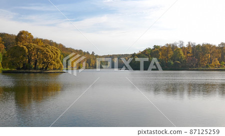 Autumn leaves fall in the forest, natural landscape Autumn leaves fall in the forest, natural landscape 87125259