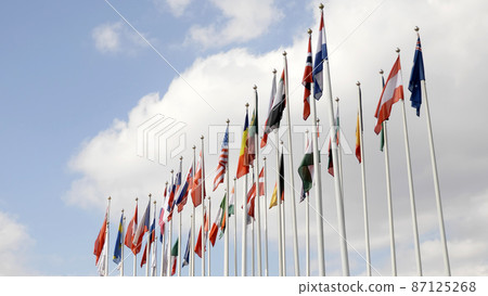 Various national flags with the EU flag under a blue sky. 87125268