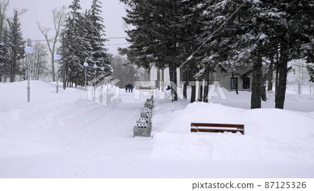 BARNAUL - JANUARY 21 view of the central alley Lenin Avenue on January 21, 2018 in Barnaul, Russia. 87125326