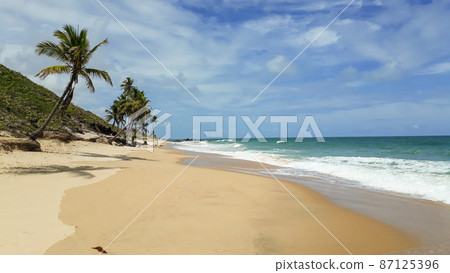 tropical Coqueirinho Beach. Conde, Paraiba, Brazil. panoramic, seascape tropical Coqueirinho Beach. Conde, Paraiba, Brazil. panoramic, seascape 87125396