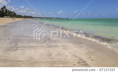 beautiful turquoise beach on the brazilian coast in Maragogi, Alagoas, Brazil beautiful turquoise beach on the brazilian coast in Maragogi, Alagoas, Brazil 87125397