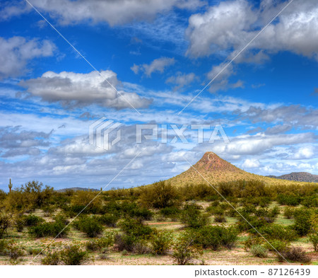 Sonora Desert Sonora Desert 87126439