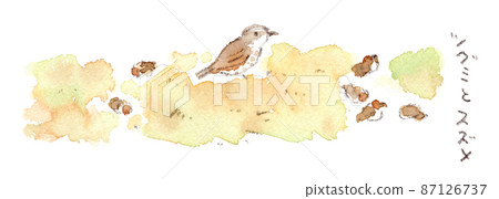 Watercolor illustration of thrush and sparrow looking for food in the grass in winter 87126737