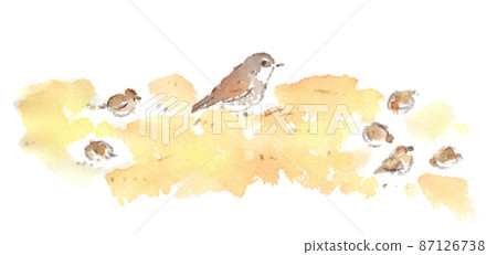 Watercolor illustration of thrush and sparrow looking for food in the grass in winter Watercolor illustration of thrush and sparrow looking for food in the grass in winter 87126738