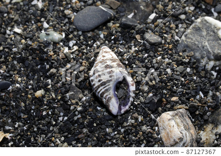 漂浮的荔枝 漂浮的荔枝 87127367