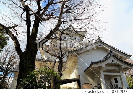 冬天在大垣城公園散步·2（岐阜縣大垣市：大垣城公園） 87129221