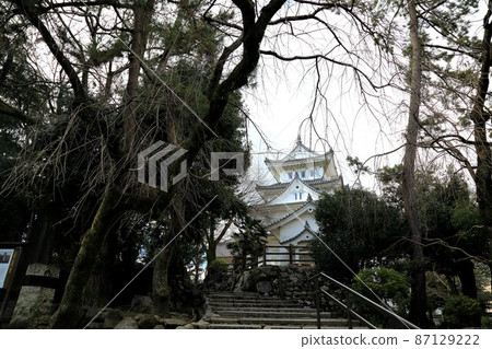 Walk around Ogaki Castle Park in winter ・ 3 (Ogaki City, Gifu Prefecture: Ogaki Castle Park) Walk around Ogaki Castle Park in winter ・ 3 (Ogaki City, Gifu Prefecture: Ogaki Castle Park) 87129222