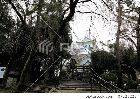 Walk around Ogaki Castle Park in winter ・ 4 (Ogaki City, Gifu Prefecture: Ogaki Castle Park) Walk around Ogaki Castle Park in winter ・ 4 (Ogaki City, Gifu Prefecture: Ogaki Castle Park) 87129223