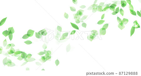 New green leaves landscape background New green leaves landscape background 87129888