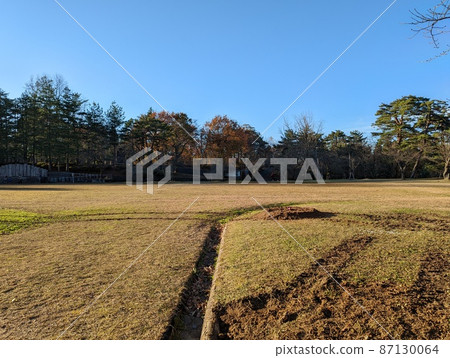 Autumn park lawn, trees and blue sky Autumn sunny 87130064