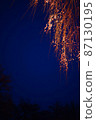 Illuminated weeping cherry tree night view 87130195