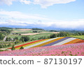 Flower field in Biei-cho August 87130197