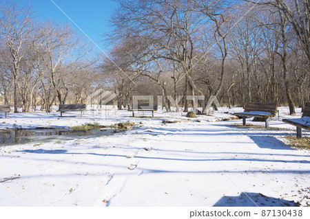 Beautiful snowy country park landscape 87130438