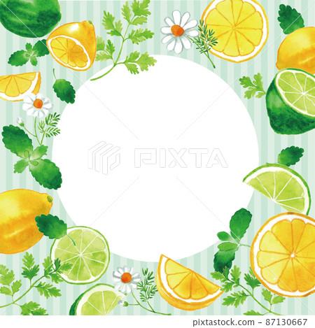 Lemon, lime, mint, herb frame watercolor hand drawn illustration 87130667