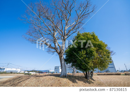 《福岡縣》小郡政府舊址上岩田舊址（國家史蹟） 87130815
