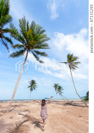 Coconut Palm trees on sandy beach 87131293