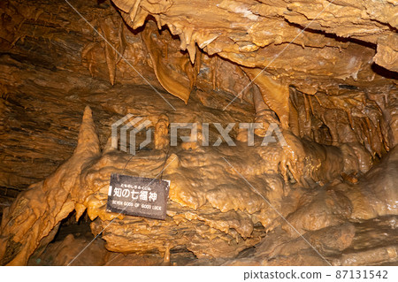 [Shizuoka Prefecture] Ryugaiwa Cave 87131542