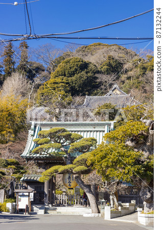 Hase-dera Gate-covered pine 87132244