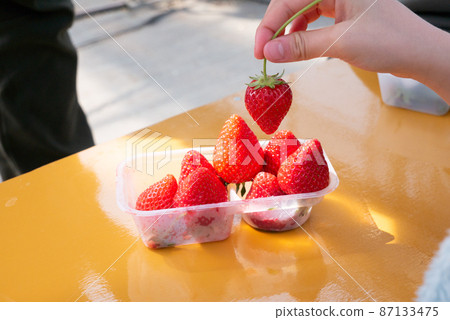 Strawberry picking and freshly picked strawberries 87133475