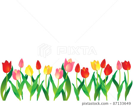 Frame / background with three-colored tulips underneath Frame / background with three-colored tulips underneath 87133649