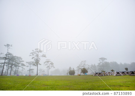 Camping and tent in nature and morning with fog. 87133893
