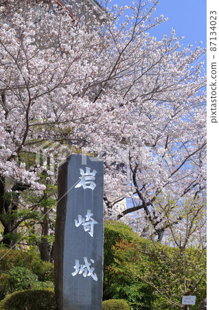 櫻花城(愛知縣日新市岩崎城) 櫻花城(愛知縣日新市岩崎城) 87134023