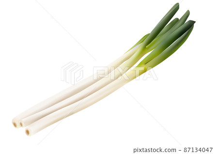Long green onion white background Long green onion white background 87134047
