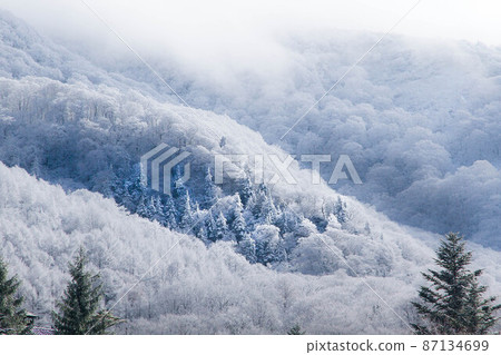 It is the west side of Mt. Adatara covered with hoarfrost. It is the west side of Mt. Adatara covered with hoarfrost. 87134699