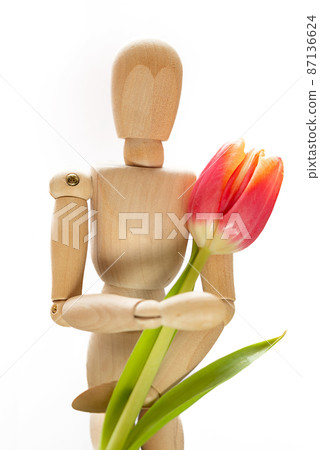 Wooden dummy holding single fresh red spring tulip, white background 87136624