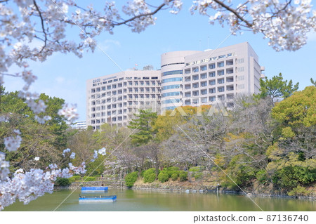 從鶴舞公園看到的明代醫院（愛知縣名古屋市名古屋大學櫻花醫院） 87136740