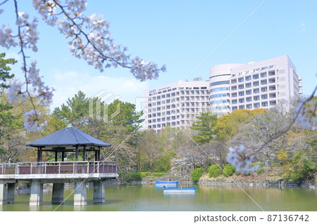 Meidai Hospital seen from Tsurumai Park (Nagoya University Hospital Sakura, Nagoya City, Aichi Prefecture) Meidai Hospital seen from Tsurumai Park (Nagoya University Hospital Sakura, Nagoya City, Aichi Prefecture) 87136742