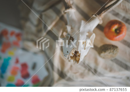 Beef bones with drawing motif Beef bones with drawing motif 87137655