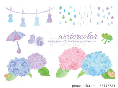 繡球花六月插圖集 87137784