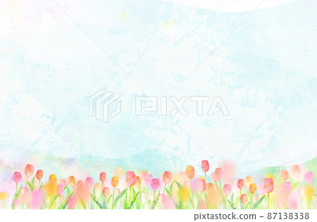 Tulip background material watercolor illustration 87138338