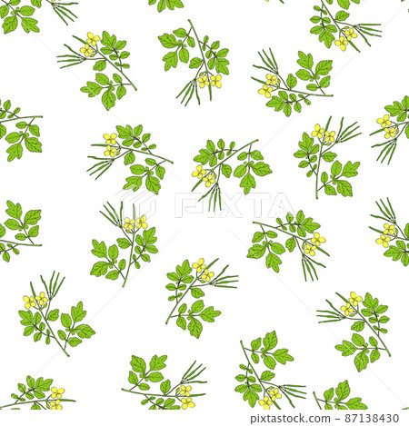 Seamless pattern with celandine, medicinal plant Seamless pattern with celandine, medicinal plant 87138430