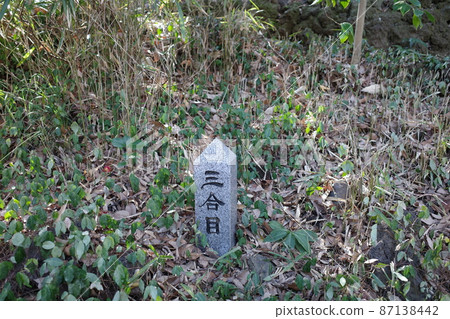 Kizuki Shrine in Musashino, the 3rd station of Mt. Fuji Kizuki Shrine in Musashino, the 3rd station of Mt. Fuji 87138442