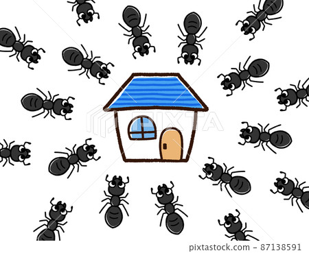 Black ants gathering at home 87138591