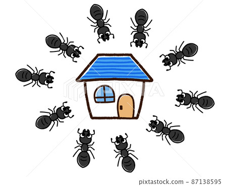 黑螞蟻聚集在家裡 黑螞蟻聚集在家裡 87138595