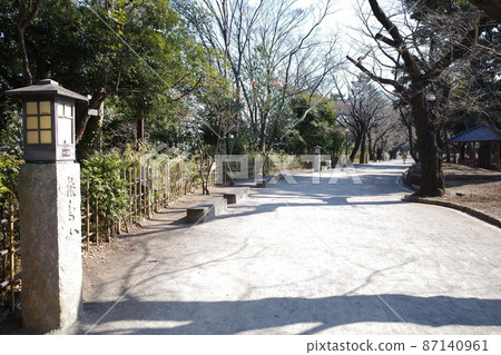 Sidewalk in Asukayama Park, Oji, Kita-ku 87140961