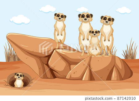 Desert background with a group of meerkats Desert background with a group of meerkats 87142010