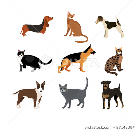 Cats and dogs vector illustration 87142394