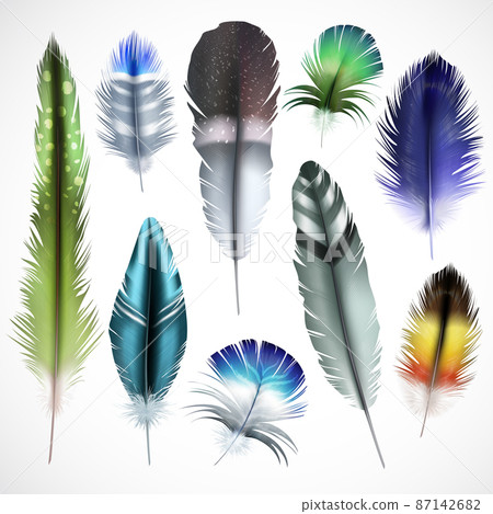 Feathers Realistic Set Feathers Realistic Set 87142682