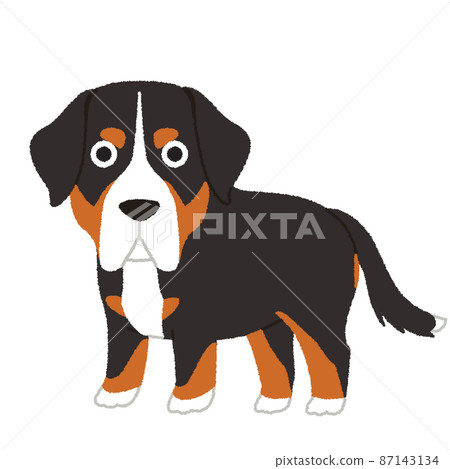 更大的瑞士山狗狗插圖 87143134