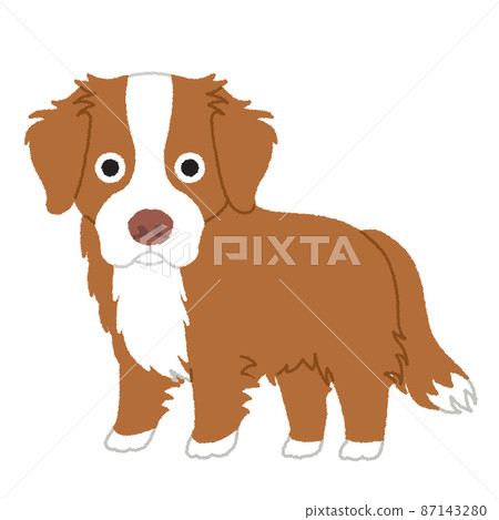 新斯科舍省鴨收費獵犬狗插圖 87143280