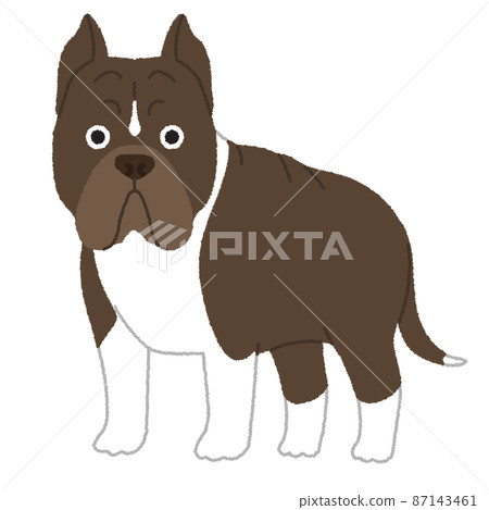 美國比特鬥牛梗狗插圖 87143461