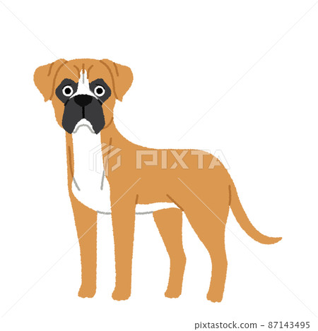 拳擊手狗圖 87143495