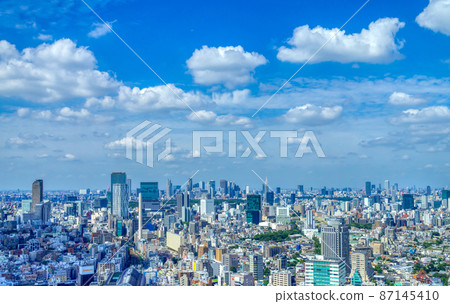 Tokyo scenery for Shibuya and Shinjuku 87145410