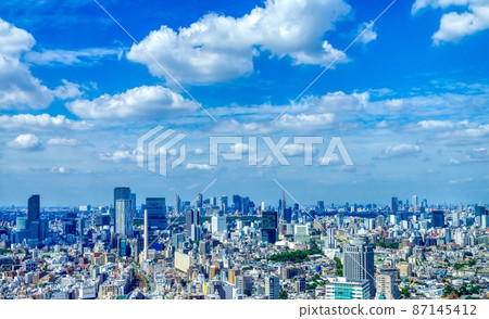 Tokyo scenery for Shibuya and Shinjuku 87145412